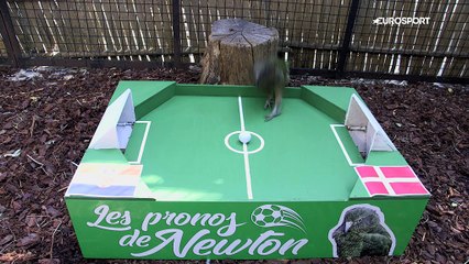 Le prono de Newton : la Croatie continuera-t-elle sur sa lancée face au Danemark ?