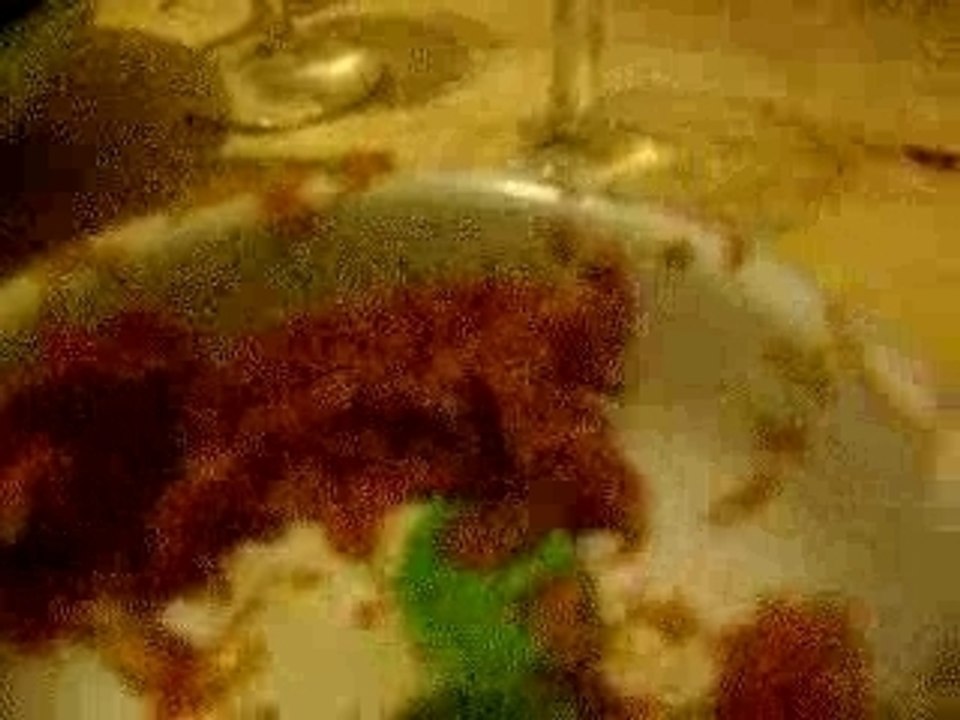 Dans la peau de la cuillere verte