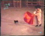 Videos de 1ª Alfonso Arús toritos