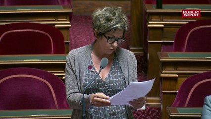 Nicole Bonnefoy présente son amendement création d’un fond d’indemnisation des victimes des pesticides