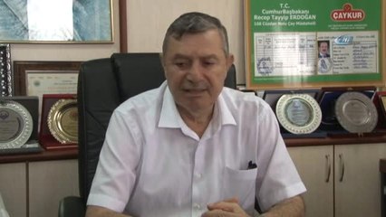 Ziraat Odası'ndan Çay Üreticisine "Düşük Fiyattan Çayınızı Satmayın" Uyarısı