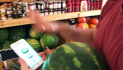 iWatermelon // Watermelon Ripeness Detector