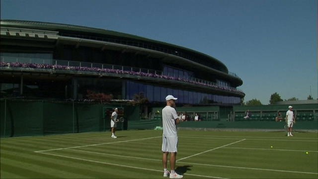 Wimbledon - Federer, Nadal, Murray et Djokovic à l'entraînement sur gazon