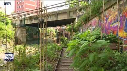 Le saviez-vous ?: les notaires vont devoir se pencher sur les questions d'agricultures urbaines - 30/06