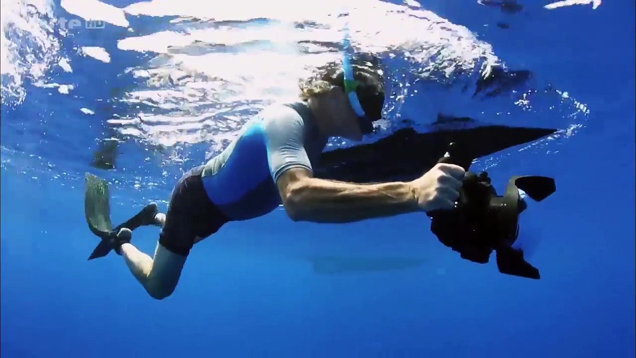 Wenn nachts der Ozean erwacht