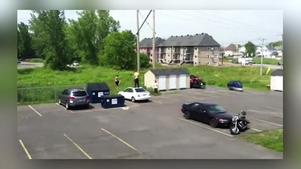 Mon voisin est complètement fou... (ಥ﹏ಥ)