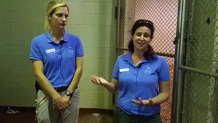6-30-18 Penny Update-Cheyenne Mountain Zoo