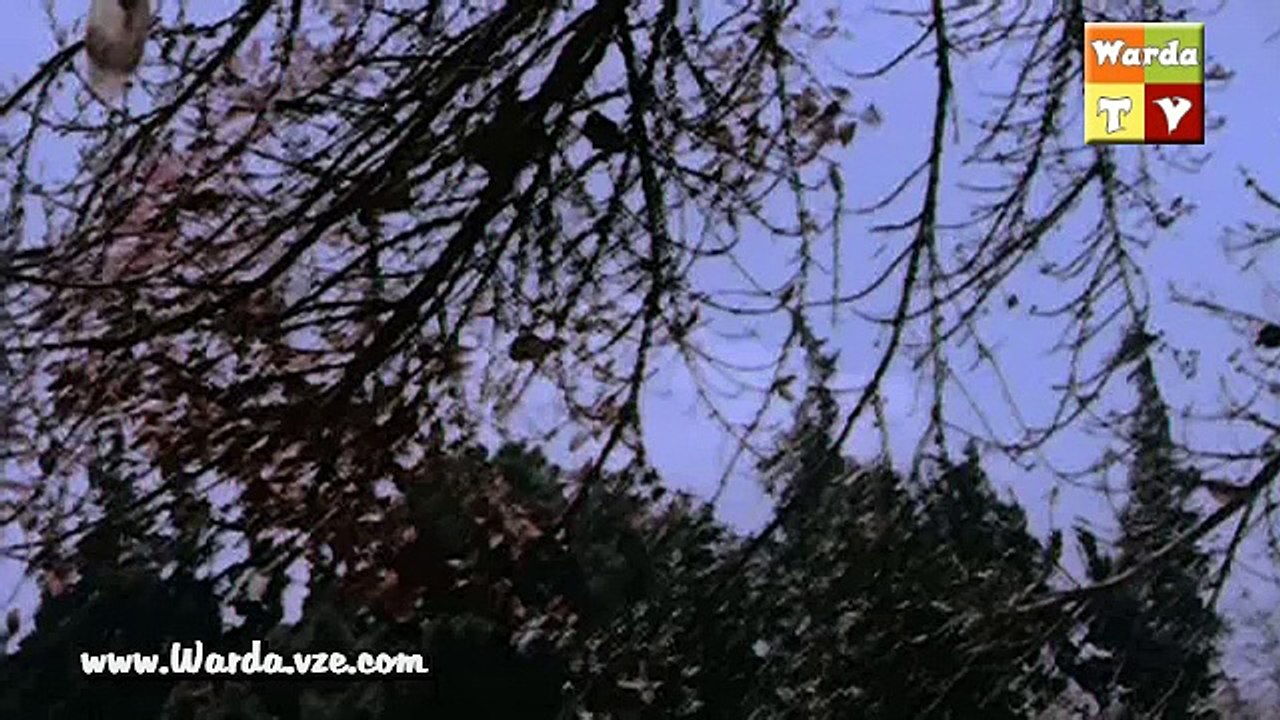 وردة - حلم اللـــيالـــي | من فيلم أميرة العرب 1963