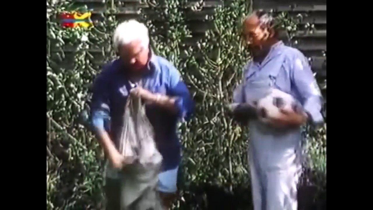 YouTube Kacke - Peter und der Nazinosferatu