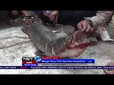 Nelayan Mengeluh Tangkapan Berkurang Akibat Ikan Predator - NET24