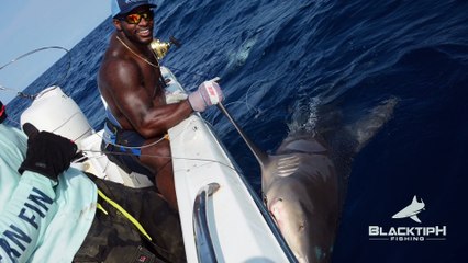 Monster Goliath Groupers with NFL Linebacker Sam Barrington - 4K