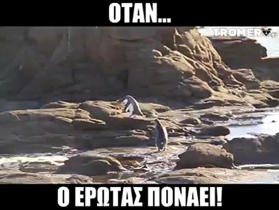 Τι κώλ....!(Και κάπως έτσι... μαύρισε το μάτι)
