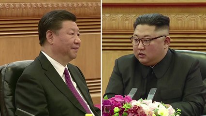 北中 밀착 행보 속도...제재 해제 요청에 '적극 협력' / YTN