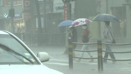 [날씨] 태풍 남해안으로 북상...바람 동반 최고 300mm 비 / YTN