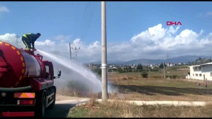 Antalya - Manavgat'ta Ot Yangını