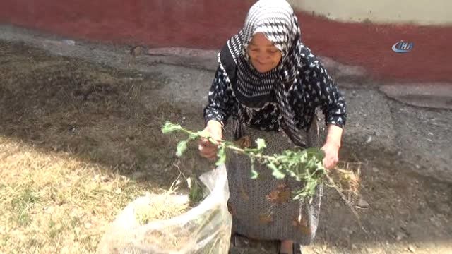 85 Yaşındaki Nazmiye Nineden Çevre Temizliğinde Örnek Davranış
