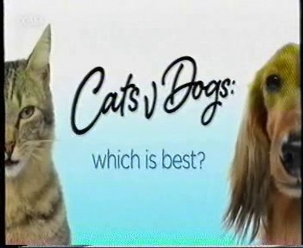 Perros y gatos para aliviar el estres