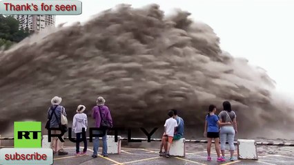 Ronnie Pickering-Tsunami in Taiwan