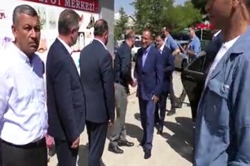 Başbakan Yardımcısı Bozdağ'dan "hadım" açıklaması