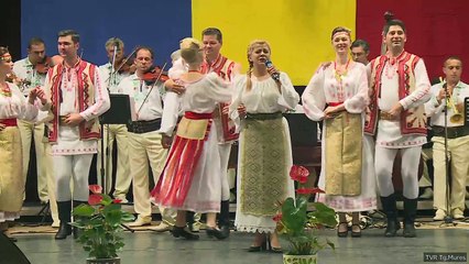 Felicia Stoian - Bine-i stă jocului mare