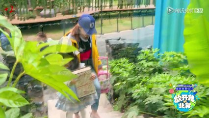 [EngSub] Let Go of My Baby S03 Ep05 Part 1/2