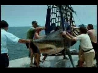 Pub-john-west-requin-thelegend17.com