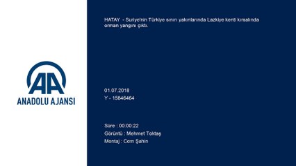 Suriye sınırında orman yangını - HATAY