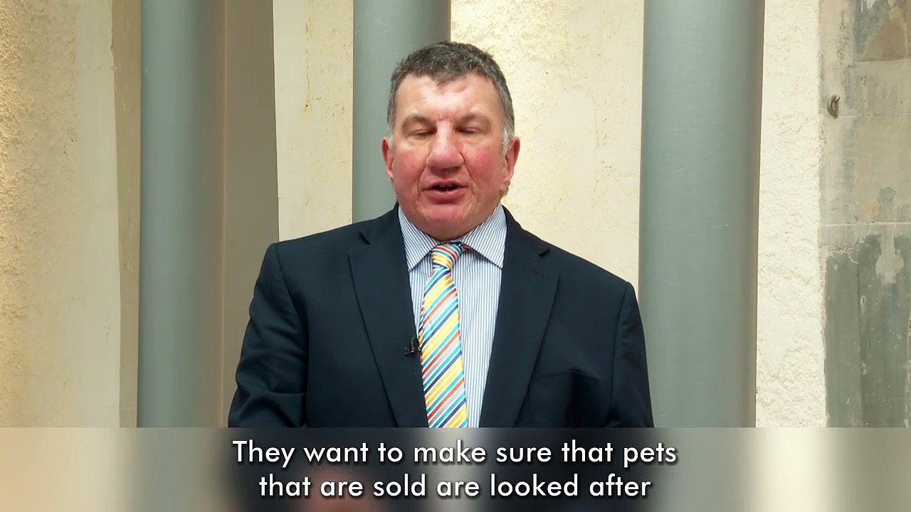 Proposed Pet Shop (Licensing) (Scotland) Bill video Dailymotion