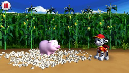 Paw Patrol Pups To The Rescue All Missions & All Locations