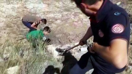 Bataklığa saplanan köpeği itfaiye kurtardı