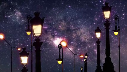 Des millions d'enseignes, de lampadaires et de signaux allumés : les chiffres de la pollution lumineuse en France
