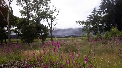 Winter Hill moorland fire burns close to property