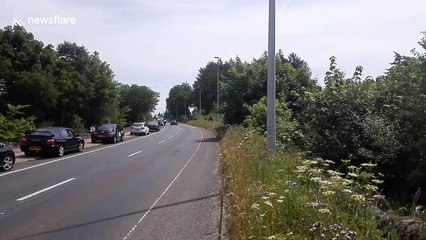 British public line road to watch Winter Hill moorland fire