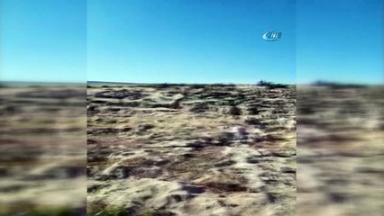 - Hayvanları otlatmaya çıkaran çocuktan haber alınamıyor