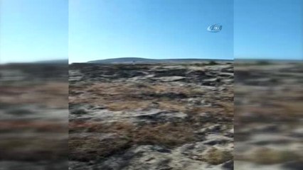 Hayvanları Otlatmaya Çıkaran Çocuktan Haber Alınamıyor