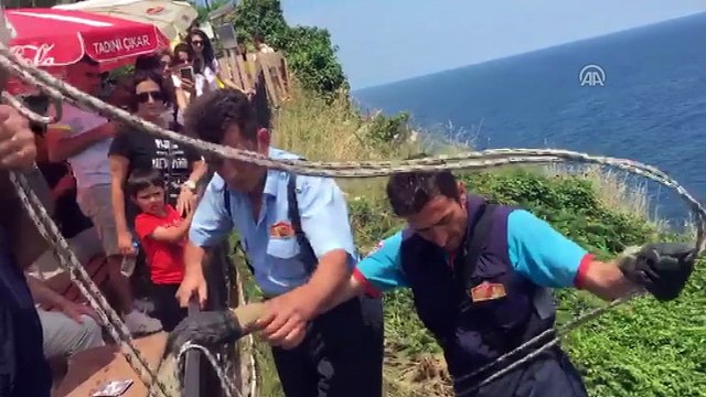 Uçurumda mahsur kalan köpekleri itfaiye kurtardı - BARTIN