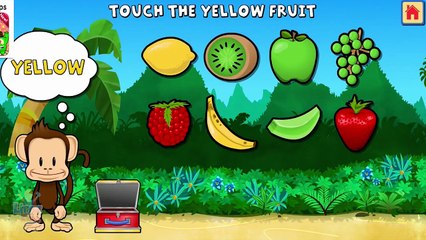 Kids Learn Colors Shapes Numbers with Monkey Preschool Lunchbox - Fun Educational Game for Toddlers