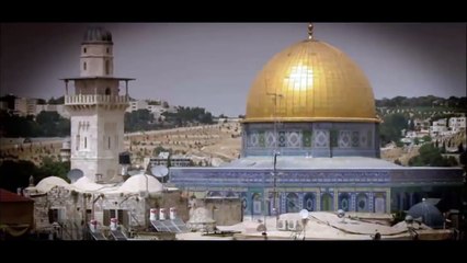 Die Assassinen Doku deutsch