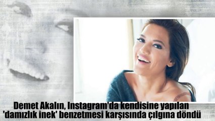 Demet Akalın'ı yine Çıldırttılar