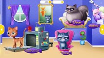 Cat Hair Salon Birthday Party - Kitty Haircut and Makeup Game for Kids