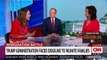 WATCH: Dem strategist flattens Jack Kingston when he tries to claim asylum seekers aren't being separated from children