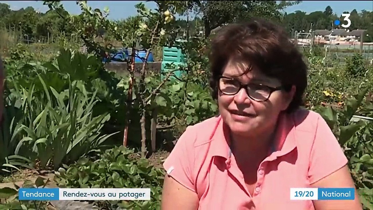 Mulhouse : le succès des jardins ouvriers