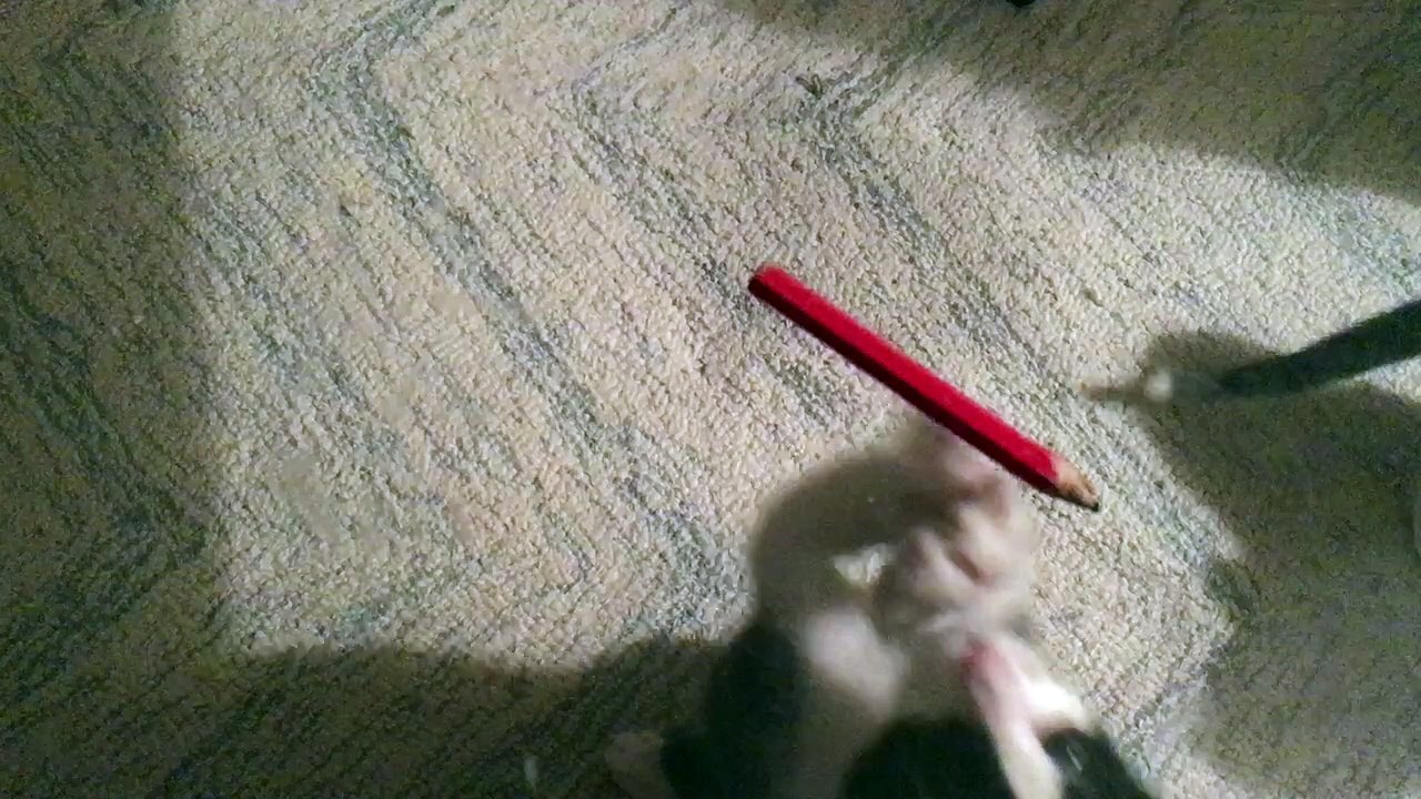What sorcery is this?