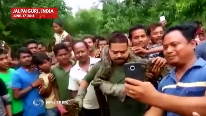 Man Almost Strangled By Python Whilst Posing For Selfie