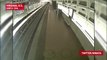 Watch A Deer Join Train Commuters