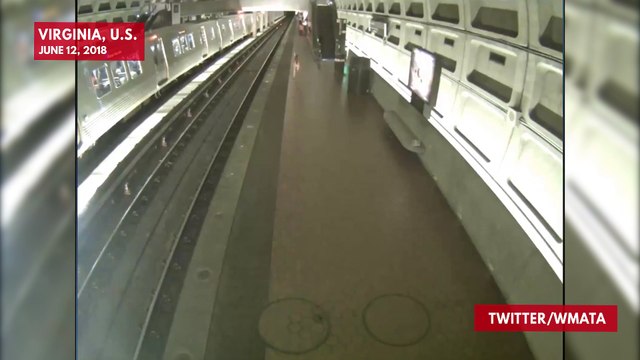 Watch A Deer Join Train Commuters