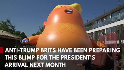 Giant "Baby Trump" Blimp Will Greet President When He Visits London
