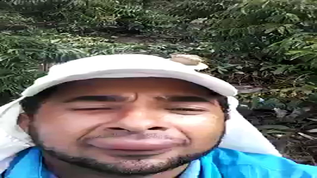 Vídeo Engraçado - O Brasil que Eu Quero