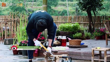 《向往的生活2》：王迅打造少女心秋千  倪妮单脚踩凳锯木头姿势满分 Back to Field S02【湖南卫视官方频道】