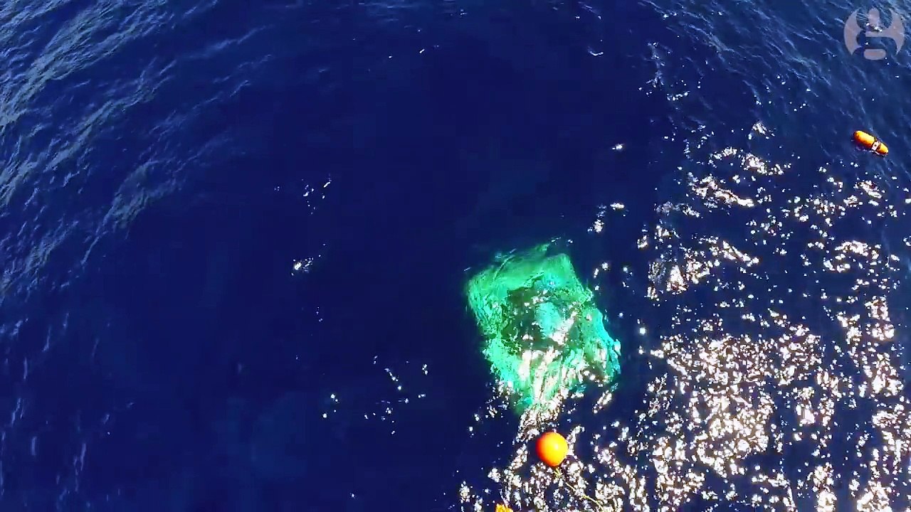 A_deep_sea_dive_into_Bermuda’s_hidden_depths